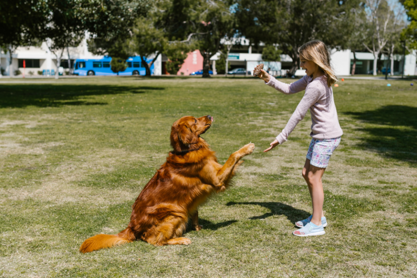 Puppygirlxd: The Internet Sensation Wowing Audiences Around the World